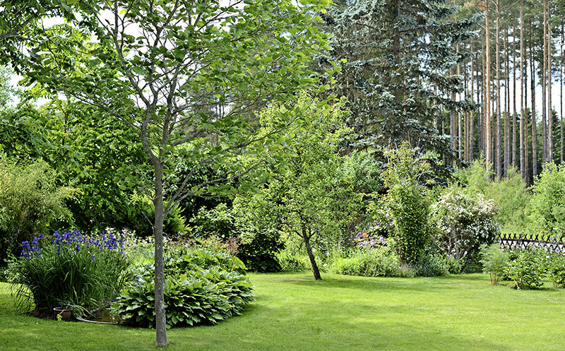 Altanbygge trädgårdsrenovering Åkeslund Abrahamsberg